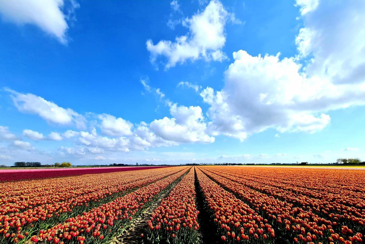 De Corner van Zeeland met jacuzzi Sint-Annaland Buitenkant foto