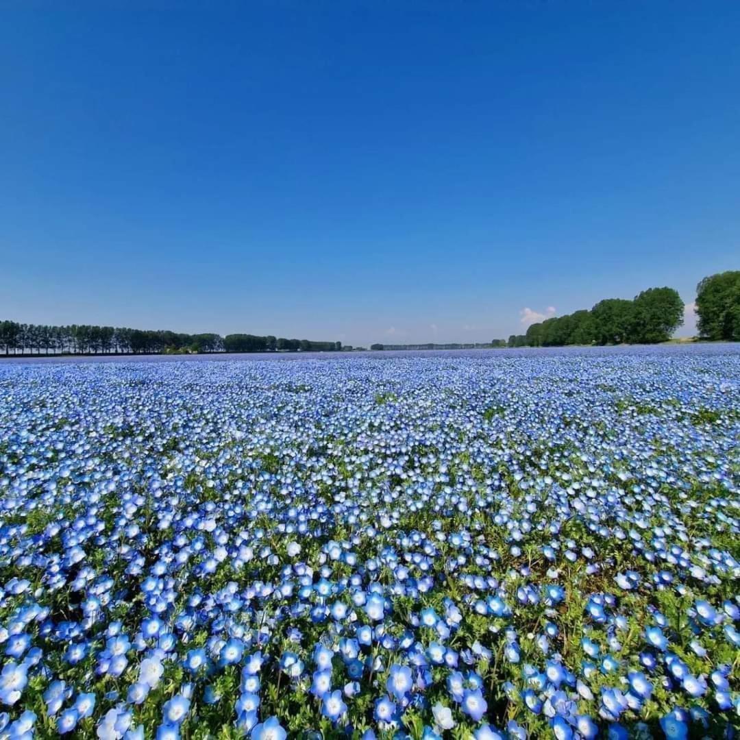 De Corner van Zeeland met jacuzzi Sint-Annaland Buitenkant foto